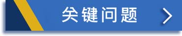 Bircham 国际大学常见问题 (FAQ)