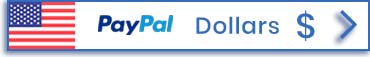 使用 PayPal 以美元付款给 Bircham 国际大学