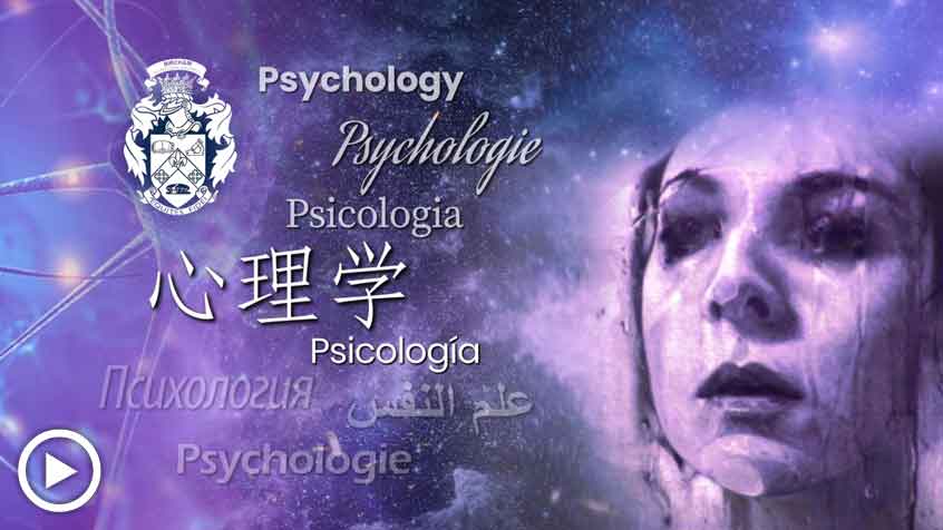 BIU 系所 心理学